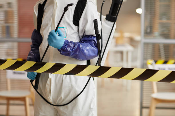 Professional Blood Cleanup technician working in Wellington, FL